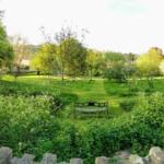 Hen's Orchard