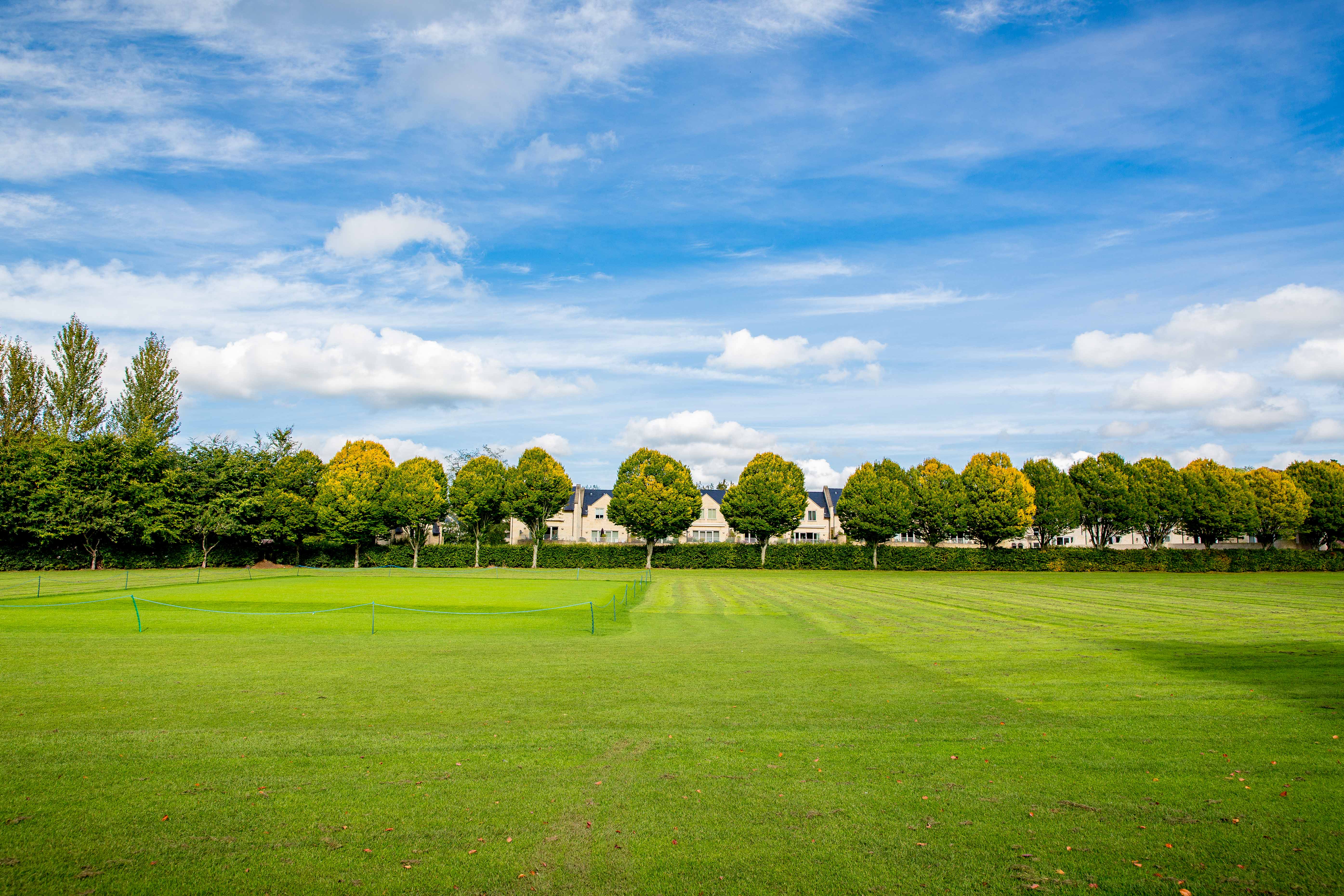 Culver Close field in Bradford on Avon